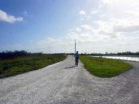 Everglades, Southern Glades Trail