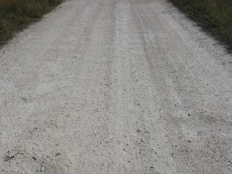 Everglades, Southern Glades Trail