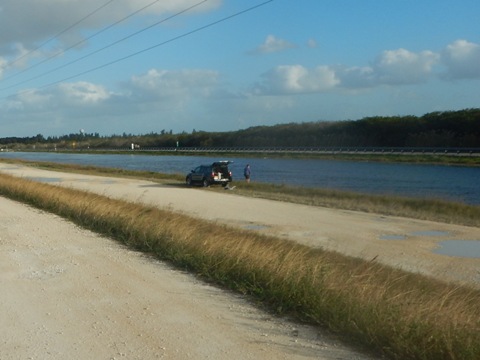 Everglades, Southern Glades Trail