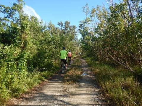 Rowdy Bend Trail