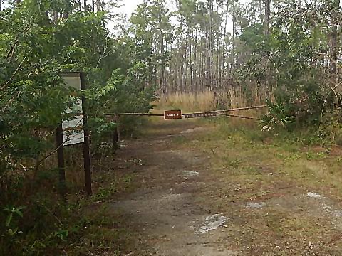 Everglades, Long Pine Key Nature Trail