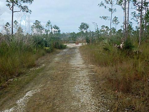 Everglades, Long Pine Key Nature Trail