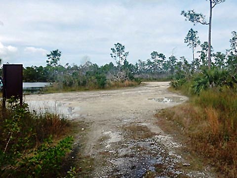 Everglades, Long Pine Key Nature Trail