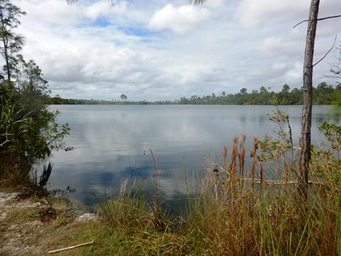 Everglades, Long Pine Key Nature Trail