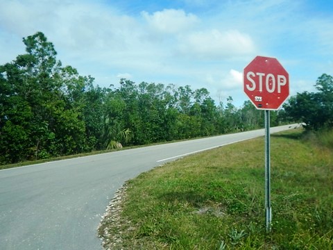 Everglades, Long Pine Key Nature Trail