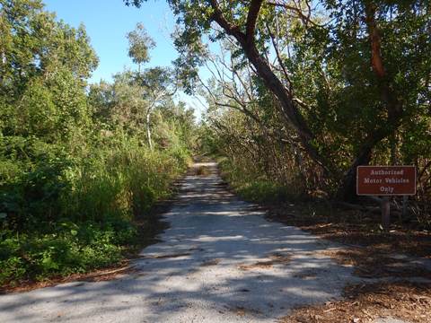 Everglades, Rowdy Bend Trail