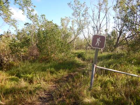 Everglades, Rowdy Bend Trail