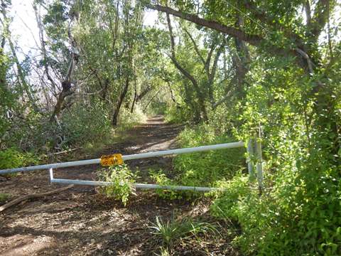 Everglades, Snake Bight Trail