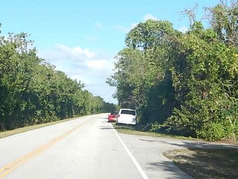 Everglades, Snake Bight Trail