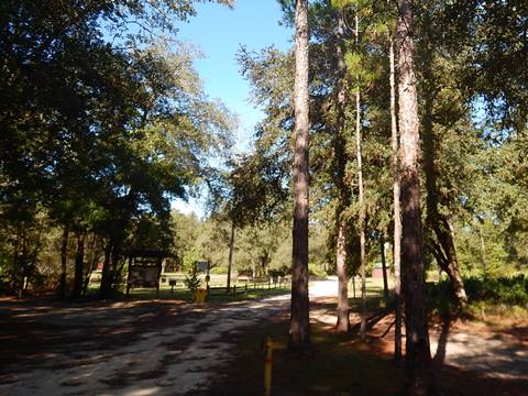 Goethe State Forest, Florida eco-biking and hiking