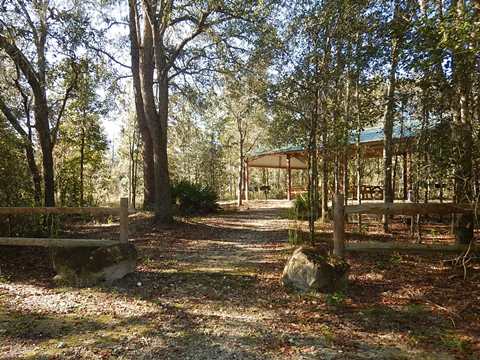 Goethe State Forest, Florida eco-biking and hiking