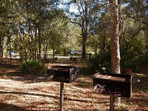 Goethe State Forest, Florida eco-biking and hiking