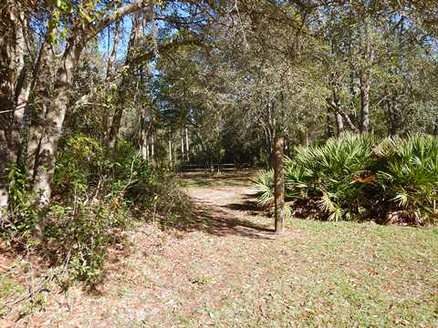 Goethe State Forest, Florida eco-biking and hiking