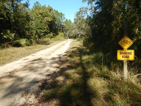 Goethe State Forest, Florida eco-biking and hiking