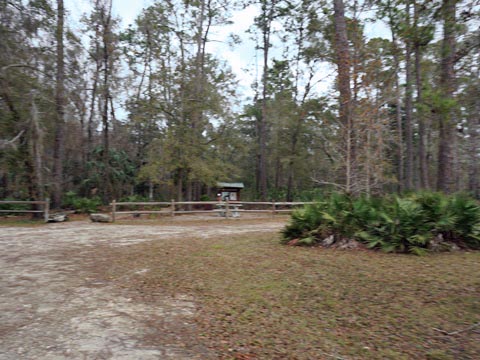 Goethe State Forest, Florida eco-biking and hiking