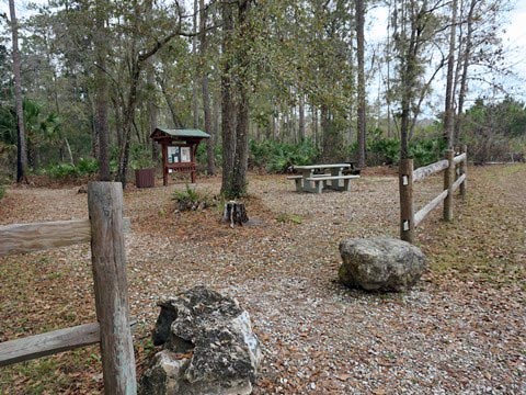 Goethe State Forest, Florida eco-biking and hiking