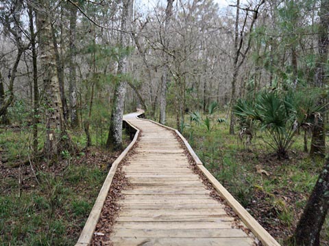 Goethe State Forest, Florida eco-biking and hiking