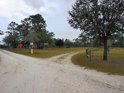 Goethe State Forest, Florida eco-biking and hiking