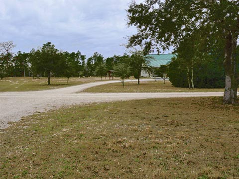 Goethe State Forest, Florida eco-biking and hiking