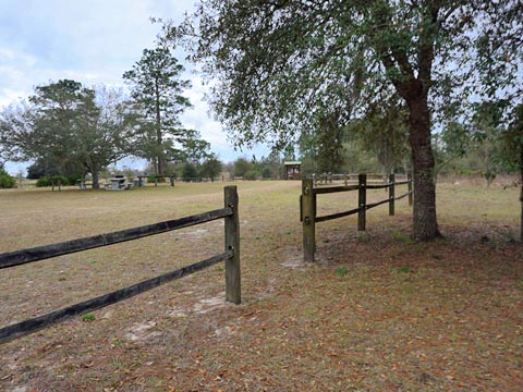 Goethe State Forest, Florida eco-biking and hiking