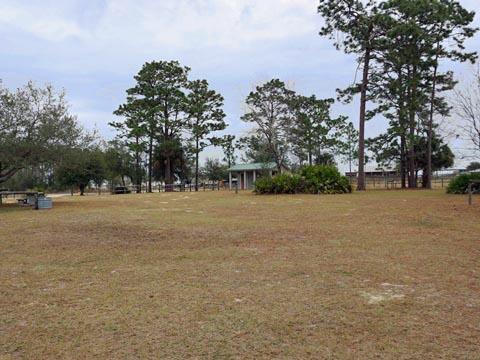 Goethe State Forest, Florida eco-biking and hiking