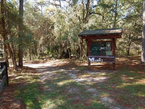 Goethe State Forest, Florida eco-biking and hiking