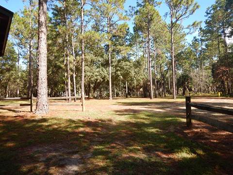 Goethe State Forest, Florida eco-biking and hiking