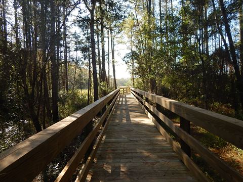 Goethe State Forest, Florida eco-biking and hiking