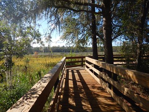 Goethe State Forest, Florida eco-biking and hiking