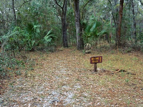 Goethe State Forest, Florida eco-biking and hiking