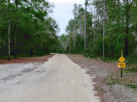 Goethe State Forest, Florida eco-biking and hiking