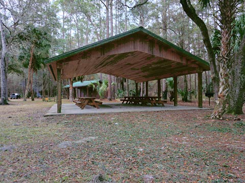 Goethe State Forest, Florida eco-biking and hiking