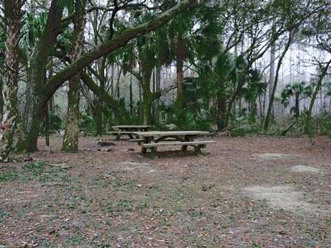 Goethe State Forest, Florida eco-biking and hiking