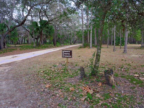 Goethe State Forest, Florida eco-biking and hiking