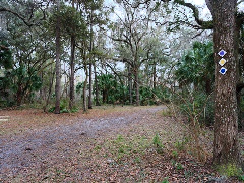 Goethe State Forest, Florida eco-biking and hiking