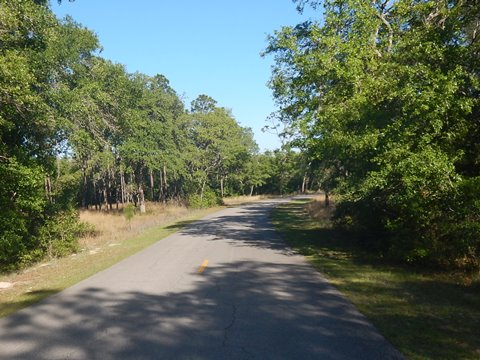 Gold Head Branch State Park