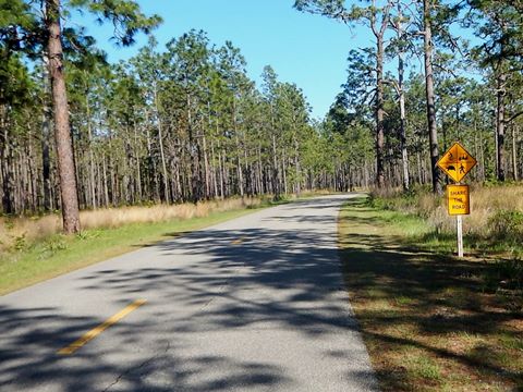 Gold Head Branch State Park, eco-biking and hiking