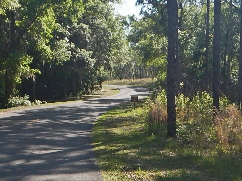 Gold Head Branch State Park, eco-biking and hiking