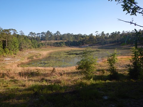 Gold Head Branch State Park, eco-biking and hiking