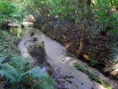 Gold Head Branch State Park, eco-biking and hiking