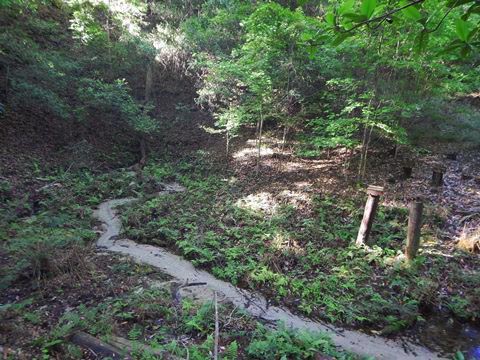 Gold Head Branch State Park, eco-biking and hiking