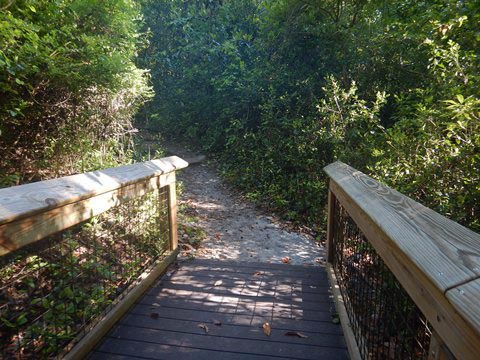 Gold Head Branch State Park, eco-biking and hiking