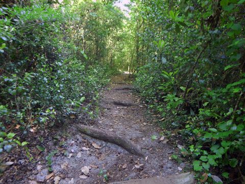 Gold Head Branch State Park, eco-biking and hiking