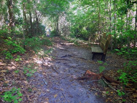 Gold Head Branch State Park, eco-biking and hiking