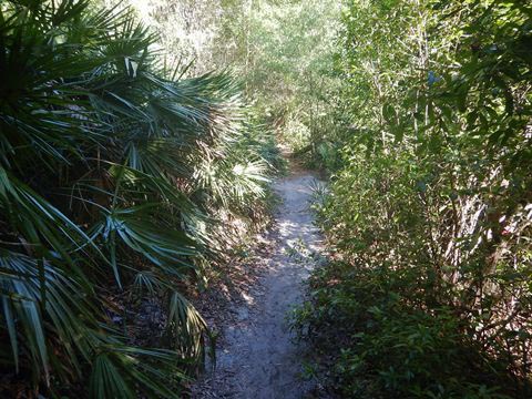 Gold Head Branch State Park, eco-biking and hiking