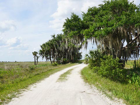 Lake Kissimeee State Park, Florida eco-hiking