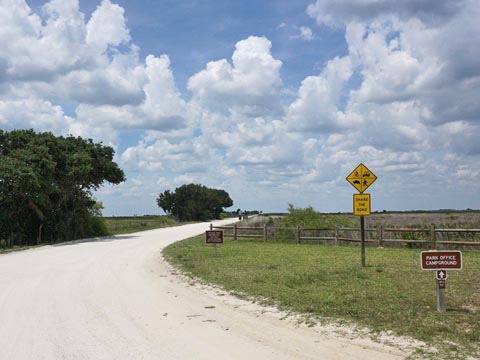 Kissimeee Prairie Preserve State Park, Florida eco-hiking