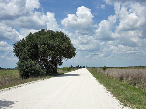 Kissimeee Prairie Preserve State Park, Florida eco-hiking