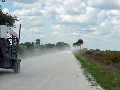 Kissimeee Prairie Preserve State Park, Florida eco-hiking