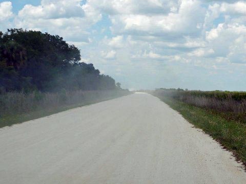 Kissimeee Prairie Preserve State Park, Florida eco-hiking